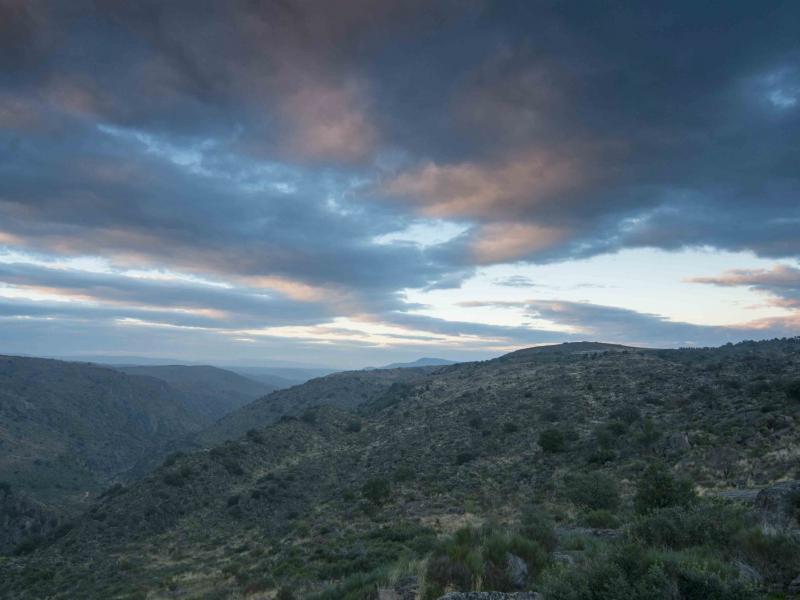 Panorama da Reserva da Faia Brava