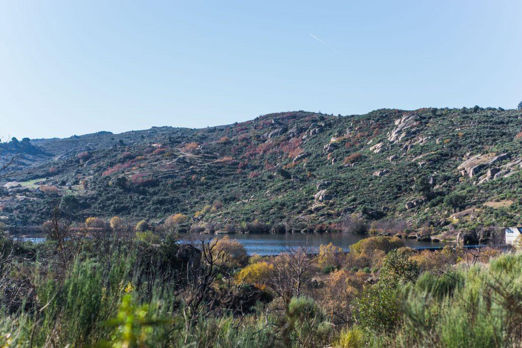 Rio Côa
